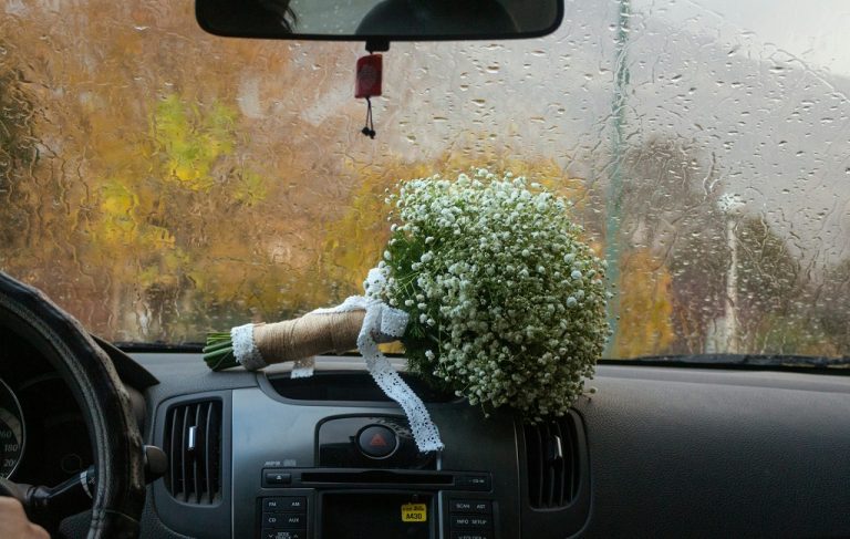 Best Air Freshener for Car