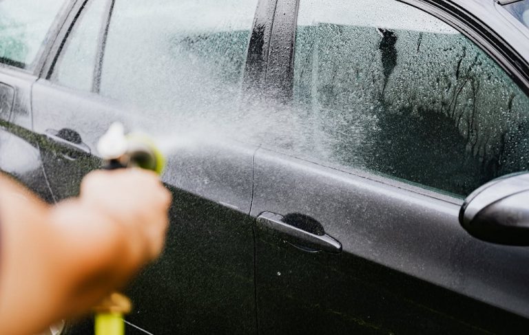 Best Steamer for Car Detailing