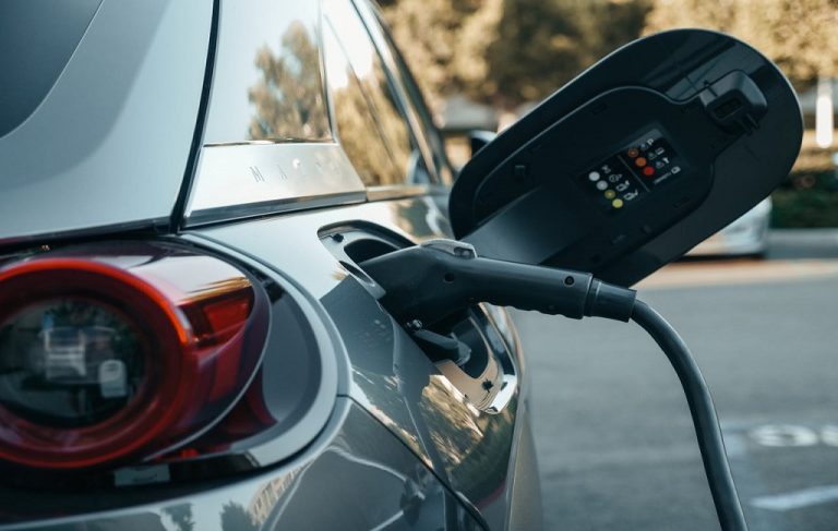 Best Battery Charger for Car
